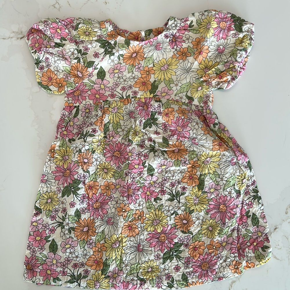 Zara dress